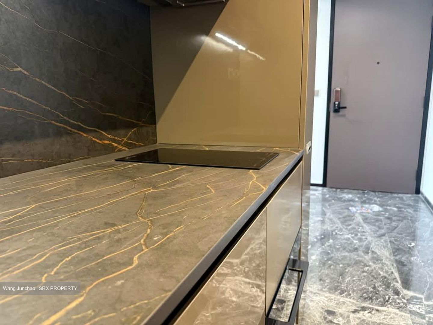 One Bernam (D2), Apartment #528932041
